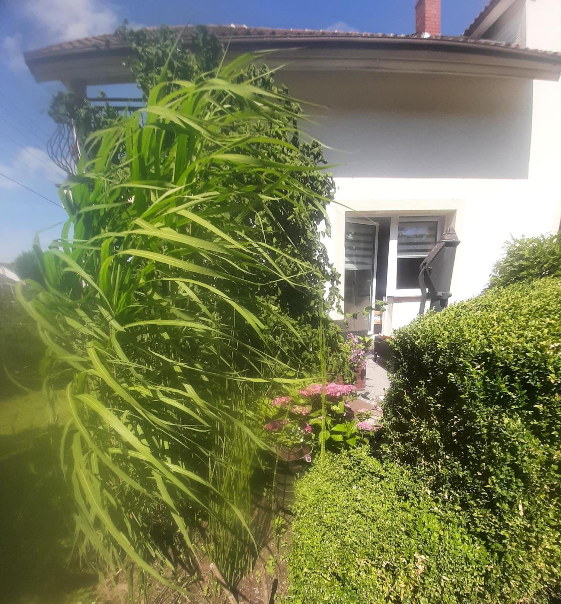 Pokoje Goscinne Cuma Łeba Szoba fotó